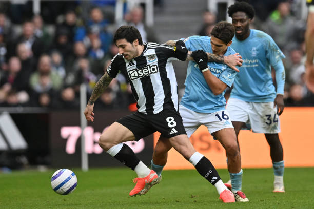 埃里克的参 埃里克的参